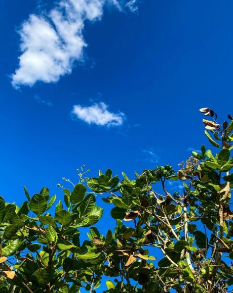        Ter&ccedil;a-feira (30) em Coxim com tempo aberto e altas temperaturas