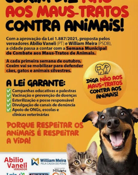 Eles Sentem Como N&oacute;s a Dor Silenciosa dos Animais Maltratados