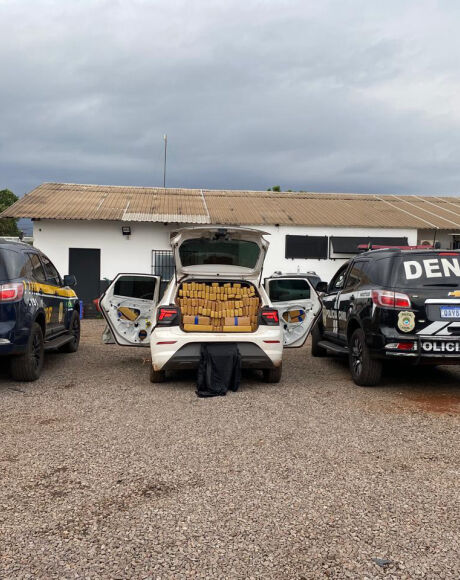 Pol&iacute;cia apreende quase uma tonelada de maconha e prende suspeito durante opera&ccedil;&atilde;o em Campo Grande