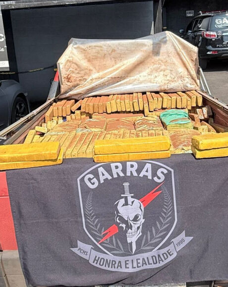 Pol&iacute;cia Civil apreende 830 kg de maconha e prende suspeito durante opera&ccedil;&atilde;o em Campo Grande

