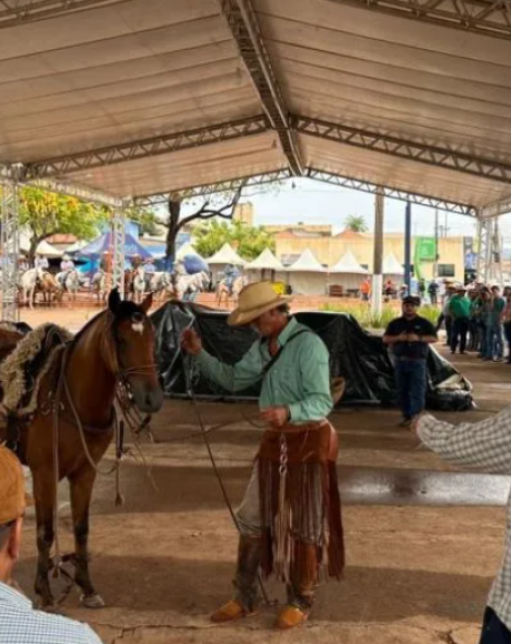 Cavalo Pantaneiro &eacute; destaque em apresenta&ccedil;&atilde;o especial no 4&ordm; Festival da Cultura Pantaneira 