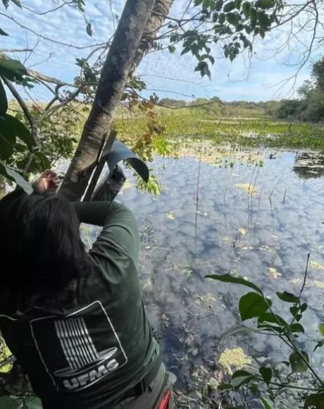 Projeto que monitora o Pantanal ser&aacute; financiado pelo 3&ordm; homem mais rico do mundo