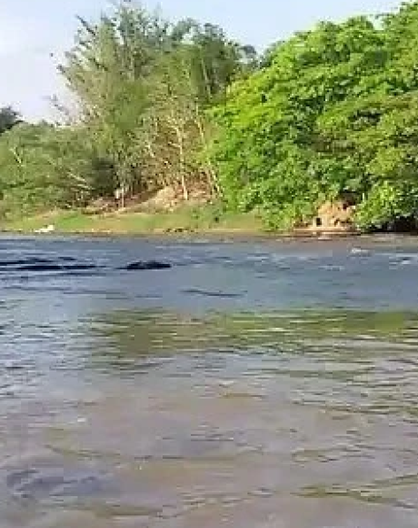 Jovem de 21 anos &eacute; encontrado morto no Rio Aquidauana ap&oacute;s desaparecer no Balne&aacute;rio Pequi