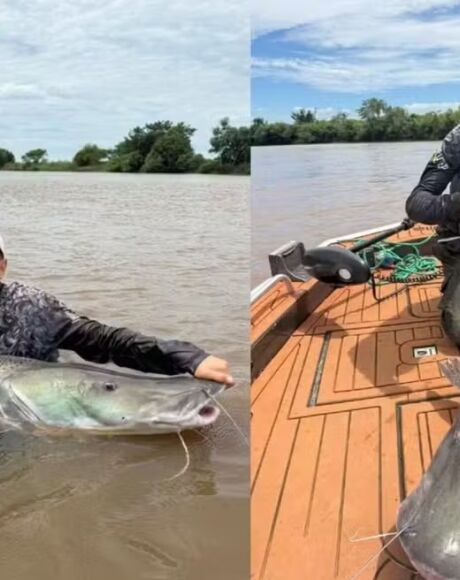 Adolescente pesca pela primeira vez pintado de 1,60 metro e 40 kg em rio de MS