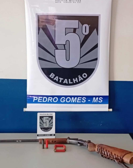 Homem &eacute; preso por furto e porte ilegal de arma ap&oacute;s abater carneiro em Pedro Gomes
