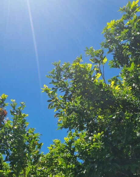 Quinta-feira ser&aacute; de calor e tempo firme em Coxim