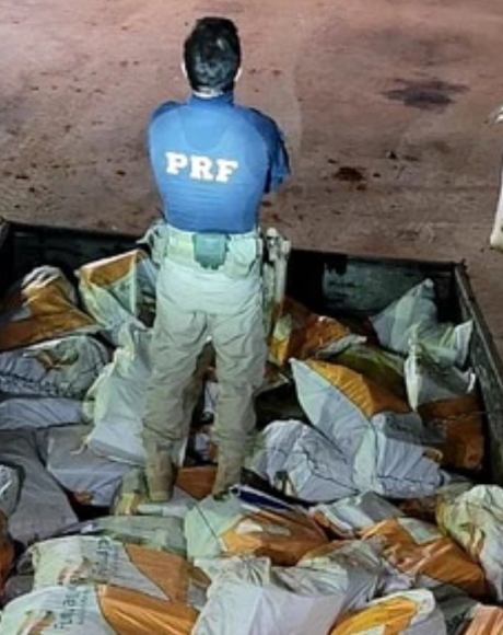 Pol&iacute;cia apreende 4 toneladas de maconha e skunk em caminh&atilde;o parado na BR-463, em Ponta Por&atilde;
