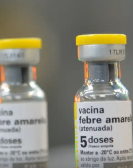 Novo caso de febre amarela &eacute; registrado em Lagoinha, interior de SP
