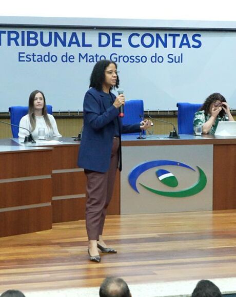 TCE-MS refor&ccedil;a fiscaliza&ccedil;&atilde;o de pol&iacute;ticas para mulheres e defende a&ccedil;&otilde;es integradas contra a viol&ecirc;ncia