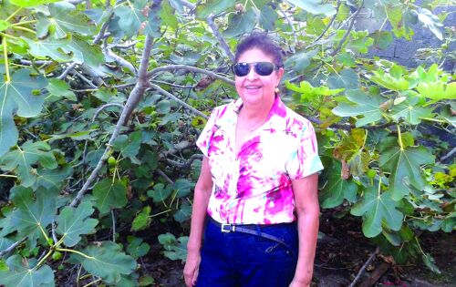 ***Hoje &eacute; dia de parabenizar a amiga Terezinha Acioli Araujo pelo seu anivers&aacute;rio. Que voc&ecirc; possa sempre celebrar o dom da vida cercada de ternura e amor dos amigos que sempre soube cativar. Felicidades!