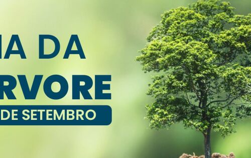 **** Hoje, celebramos o Dia da &Aacute;rvore, uma data que nos convida a refletir sobre a import&acirc;ncia fundamental que esses seres vivos t&ecirc;m em nossas vidas e em nosso planeta. As &aacute;rvores s&atilde;o mais do que simples vegetais; elas s&atilde;o verdadeiros pilares de sustenta&ccedil;&atilde;o da vida na Terra. Al&eacute;m de proporcionar o oxig&ecirc;nio que respiramos, as &aacute;rvores desempenham um papel crucial na regula&ccedil;&atilde;o do clima, na manuten&ccedil;&atilde;o dos recursos h&iacute;dricos e na preserva&ccedil;&atilde;o da biodiversidade. Elas s&atilde;o verdadeiras guardi&atilde;s da natureza, fornecendo abrigo e alimento para in&uacute;meras esp&eacute;cies de animais e insetos. No Dia da &Aacute;rvore, convidamos todos a plantar uma &aacute;rvore, cuidar das que j&aacute; existem e a refletir sobre como nossas a&ccedil;&otilde;es impactam o meio ambiente. Cada gesto conta, e juntos podemos fazer a diferen&ccedil;a na preserva&ccedil;&atilde;o de nossa casa comum, o planeta Terra.