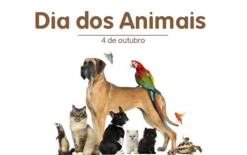 *** Falando em preserva&ccedil;a&otilde; da natureza, vamos aproveitar para falar tamb&eacute;m sobre o dia Mundial Dos animais. Esta &eacute; uma data muito importante para a defesa dos bichinhos, j&aacute; que funciona como um alerta para a necessidade de preserva&ccedil;&atilde;o de todas as esp&eacute;cies e do meio ambiente. &Eacute; um dia para relembrar os direitos dos animais selvagens e dom&eacute;sticos. Afinal, quer coisa melhor do que celebrar os amigos peludos que presenteiam os dias com muito carinho e amizade? Maltratar animais &eacute; crime, conforme a Lei de Crimes Ambientais (Lei n&ordm; 9.605). Al&eacute;m disso, em setembro de 2020, aumentou-se a pena para quem praticar atos violentos contra animais. A reclus&atilde;o passa a ser de dois a cinco anos, com multa e proibi&ccedil;&atilde;o de guarda. Ent&atilde;o, se voc&ecirc; presenciar uma situa&ccedil;&atilde;o que coloque um animal em risco, denuncie. Voc&ecirc; pode se dirigir a uma delegacia ou fazer a den&uacute;ncia por telefone, ligando para a Pol&iacute;cia Militar (190). Se as v&iacute;timas forem animais silvestres e esp&eacute;cies ex&oacute;ticas, o Ibama (0800 061 8080) deve ser acionado.