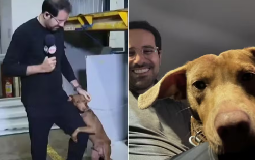 *** O jornalista Paulo Mathias, do SBT, adotou o c&atilde;ozinho que abra&ccedil;ou sua perna durante reportagem dele em uma visita a um abrigo abandonado durante a Trag&eacute;dia no RS. O animal foi um dos resgatados, j&aacute; que seu tutor anterior est&aacute; entre os desaparecidos.