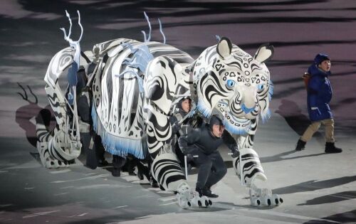 cerim&ocirc;nia de abertura; Tigre Branco; PyeongChang