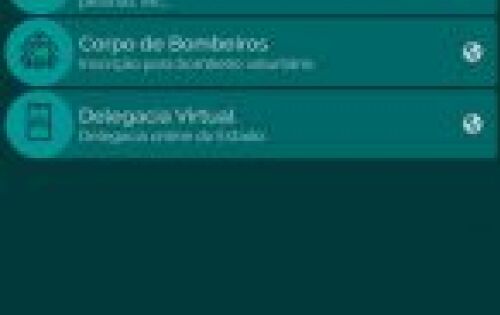 Seguran&ccedil;a P&uacute;blica