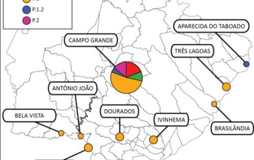 &Uacute;ltima an&aacute;lise, com 37 amostras, revelou predomin&acirc;ncia da variante P1 - mais contagiosa