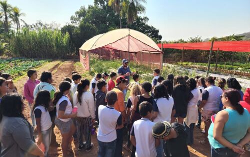 Fotos: Assesoria
