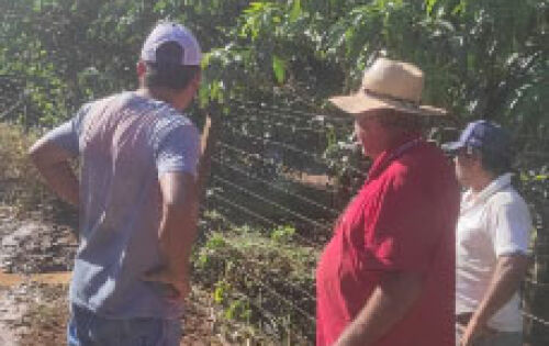 Fotos: Assesoria
