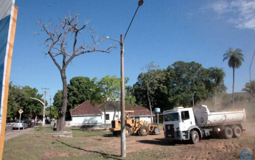 Foto tirada em 2018, &eacute;poca que foi iniciada a revitaliza&ccedil;&atilde;o da pra&ccedil;a do P&eacute; de Cedro, &aacute;rvore estava totalmente sem folhas (Foto: PC de Souza/Arquivo