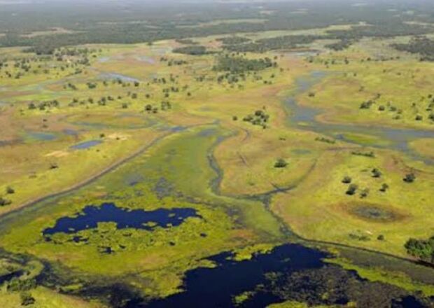 Pantanal segue abaixo da m&eacute;dia hist&oacute;rica de &aacute;gua e MS lidera perdas no pa&iacute;s