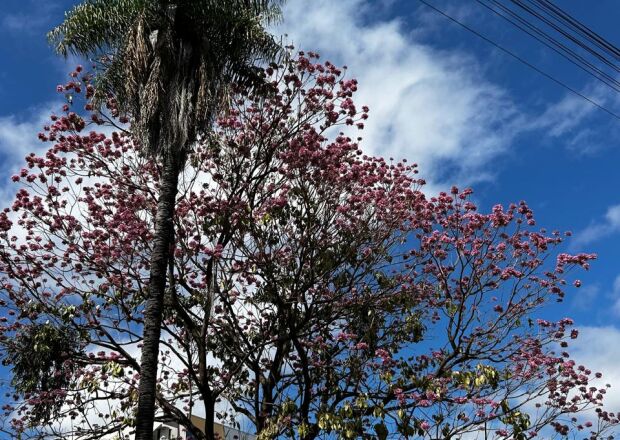 Quinta-feira ser&aacute; de sol forte e calor de at&eacute; 34&deg;C em Coxim