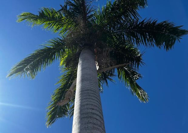 Quinta-feira ser&aacute; de tempo firme em Coxim, mas calor volta a ganhar for&ccedil;a nos pr&oacute;ximos dias
