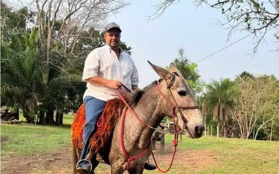 Fazendeiro é o 2&ordm; a morrer na mesma cidade de MS após ataque de abelhas