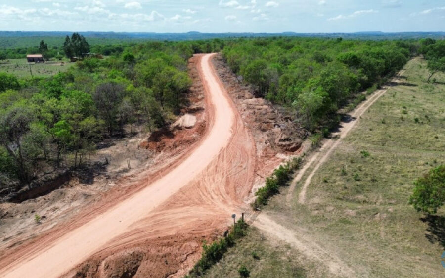 Trabalhador morre após ser atacado por enxame de abelhas em Camapuã

