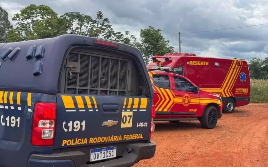 Após fugir da PRF, homem morre atacado por abelhas