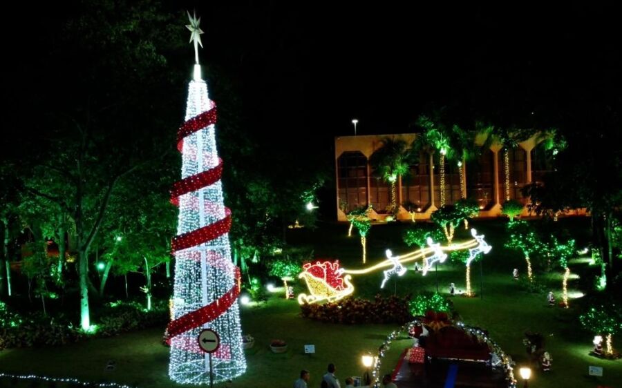 Luzes do Bosque: Natal EcoSolidário amplia boas práticas do TCE-MS