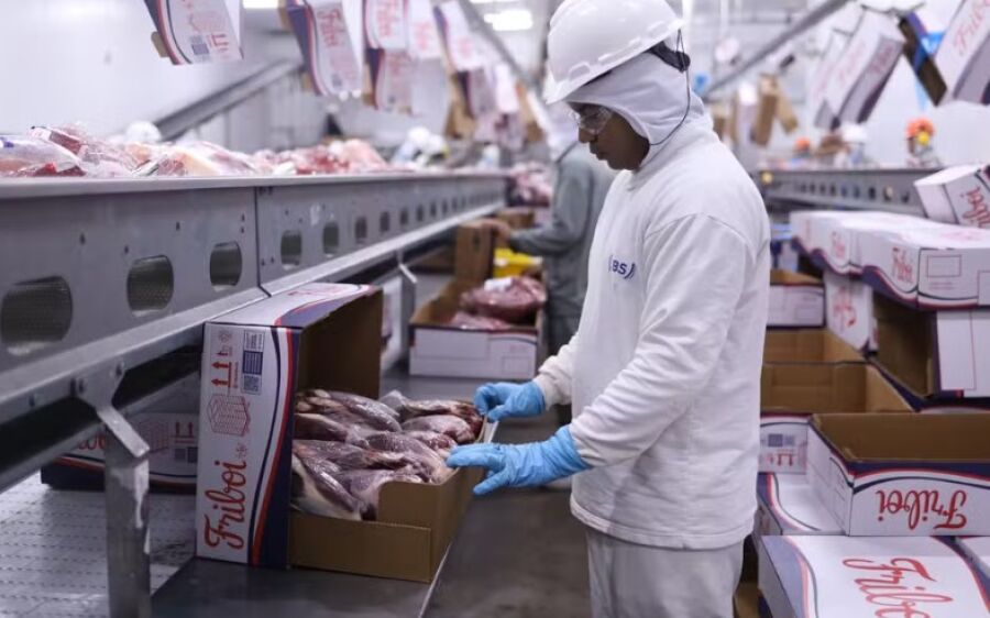 MS aumenta exportação de carne bovina em 33,73% em 2024