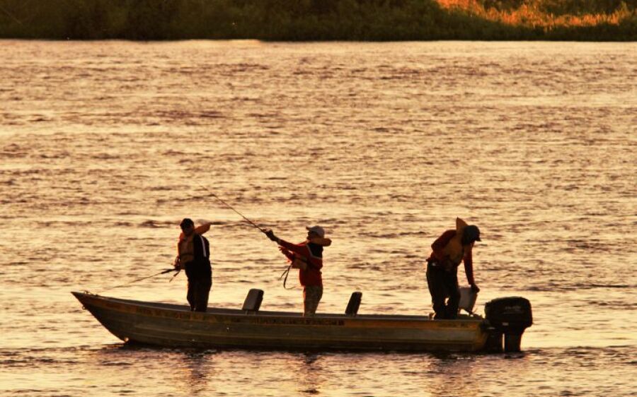 Modalidade 'pesque e solte' está liberada na calha do rio Paraguai a partir de sábado
