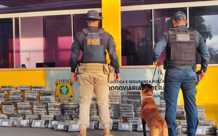 Cães farejadores ajudam PRF a localizar droga escondida em carga de mudança
