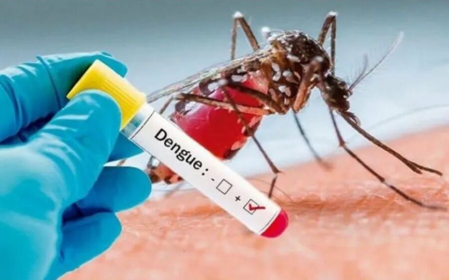 Casos de dengue tipo 3 são registrados em 15 municípios de MS e deixa órgãos responsáveis em alerta
