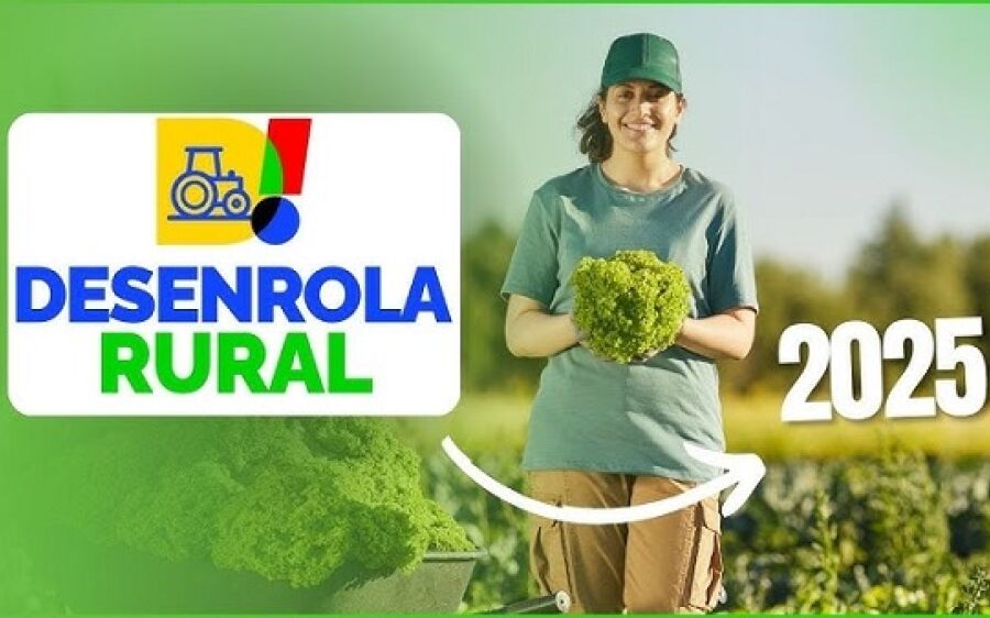 Programa Desenrola Rural entra em vigor