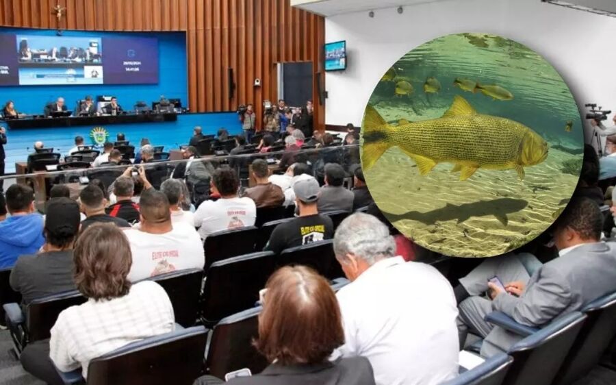 Audiência pública na Alems discutirá proibição da pesca de 29 espécies de peixes por cinco anos