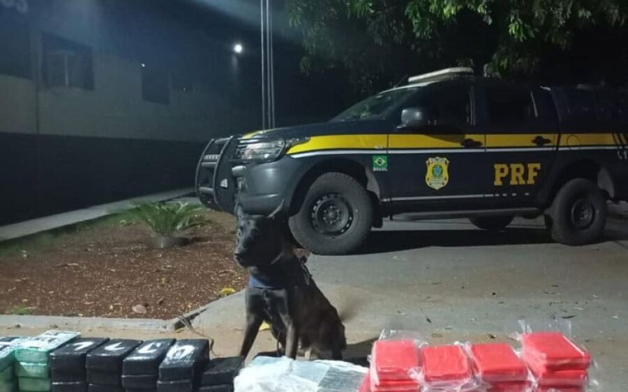 PRF apreende 125 kg de cocaína escondidos em carga de carne em Terenos
