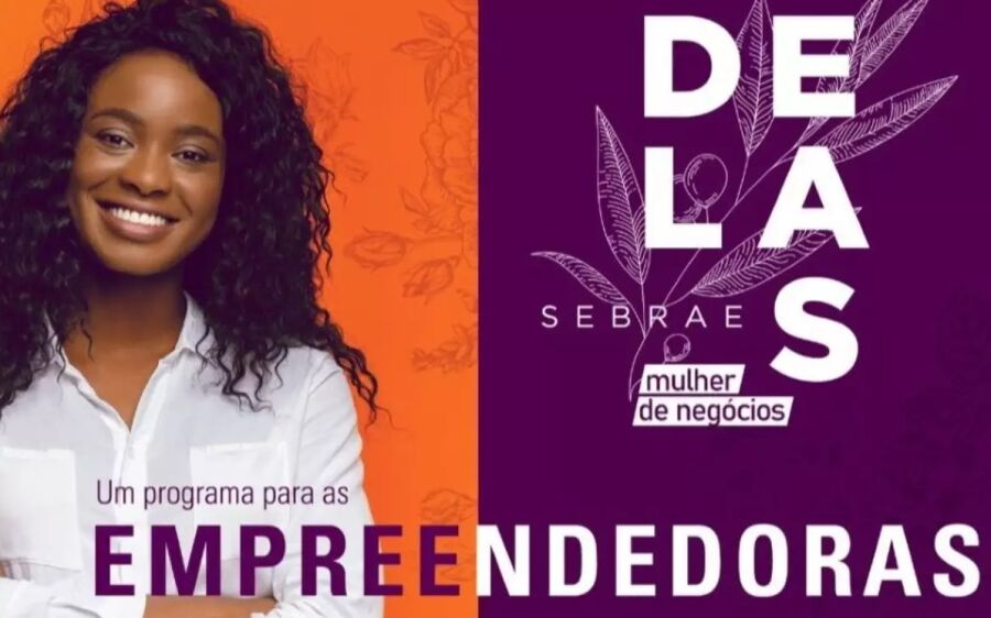 Sebrae Delas:
Empreendedorismo
Feminino em Foco