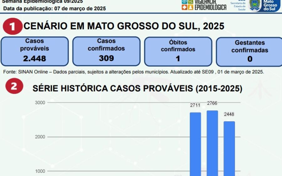 Casos de Chikungunya explodem e chegam na região norte do estado 