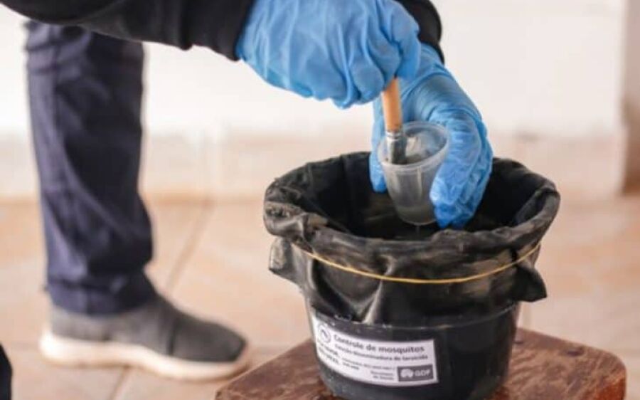 Mato Grosso do Sul inicia projeto-piloto com biolarvicidas para reforçar combate à dengue
