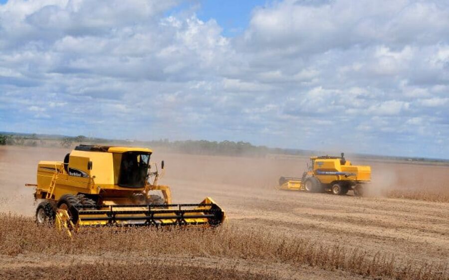 Produção agrícola de Mato Grosso do Sul deve chegar a 75,3 milhões de toneladas na safra 2024/25