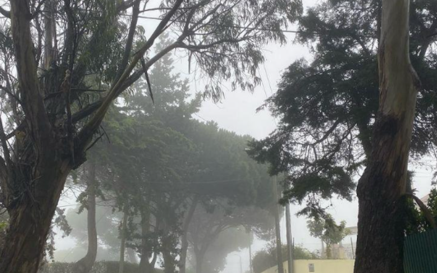 Coxinense que gosta de frio pode comemorar: primeira frente fria do ano chega nos primeiros dias de 