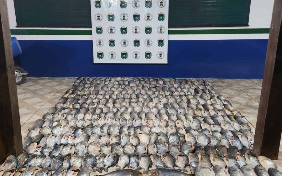 PMA apreende 188 kg de pescado irregular em fiscalização no Rio Paraguai
