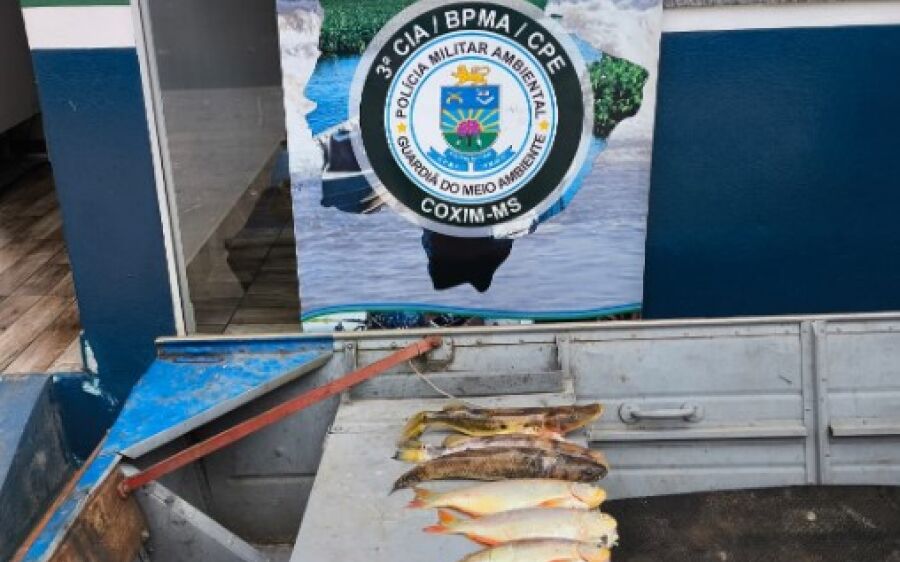 Durante feriado de carnaval PMA flagra pescadores
praticando pesca predatória