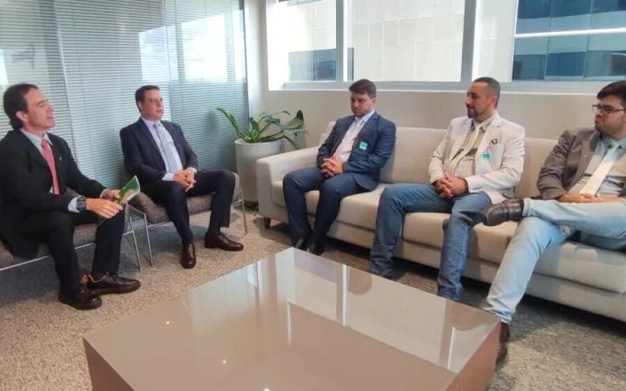 Liderado pelo presidente da câmara, vereadores de Rio Verde buscam recursos para creches