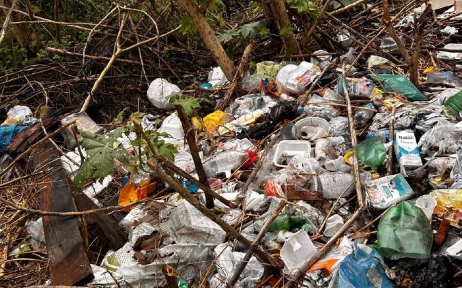 Descarte de lixo em terrenos baldios de Coxim vira dor de cabeça para moradores