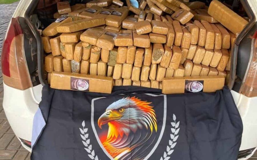 Mais de 700 kg de maconha são apreendidos em Dourados; prejuízo é de R$ 1,5 milhão ao tráfico
