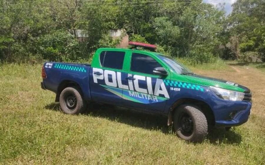 Denúncia de abate de onças-pardas em Camapuã leva a investigação de crime ambiental
