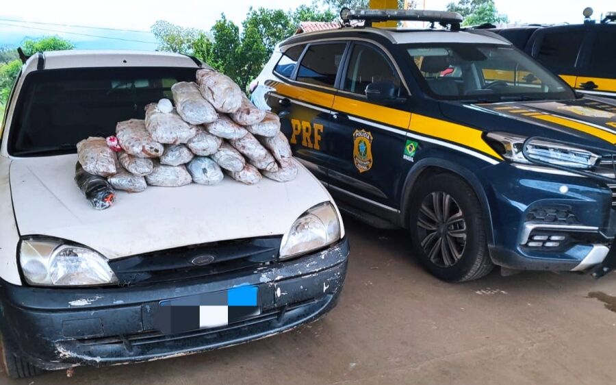 PRF apreende 11,19 kg de maconha durante abordagem na BR-163, em Coxim