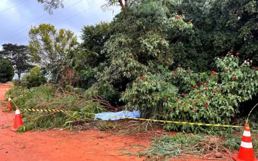 Homem morre eletrocutado enquanto podava árvore em propriedade rural
